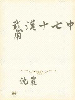 武汉十七中女主角