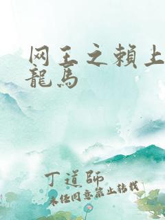 网王之赖上越前龙马