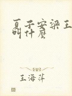 夏子安梁王书名叫什么