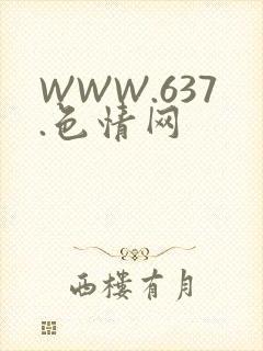 WWW.637.色情网
