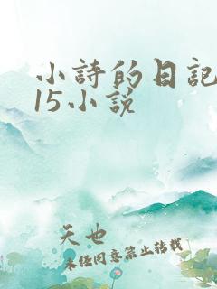 小诗的日记1一15小说