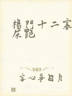 杨门十二寡妇肉床艳