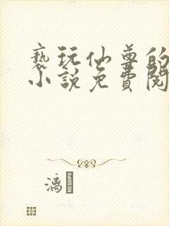 亵玩仙尊的道侣小说免费阅读