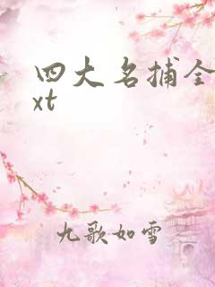 四大名捕全集txt