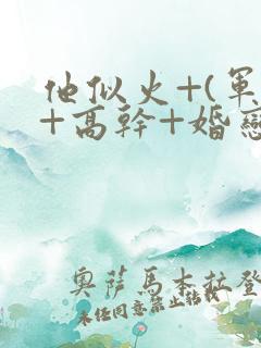 他似火+(军婚+高干+婚恋)