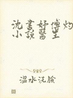 沈书妤傅灼抖音小说医生