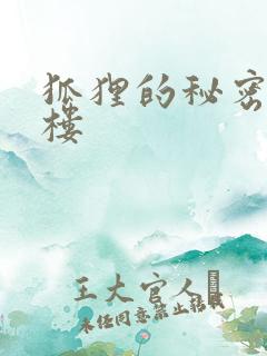 狐狸的秘密19楼