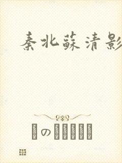 秦北苏清影小说