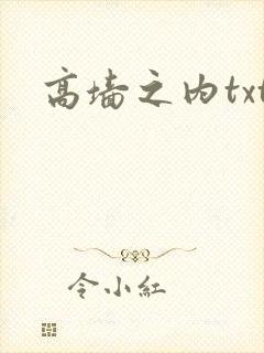 高墙之内txt