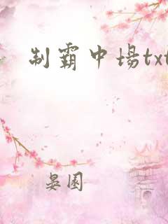 制霸中场txt