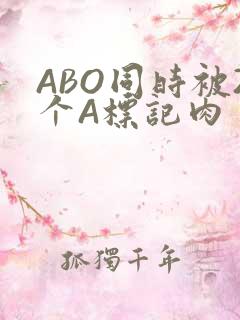 ABO同时被2个A标记肉