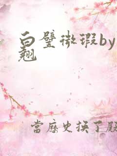 白璧微瑕by连翘