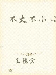 不大不小 小说