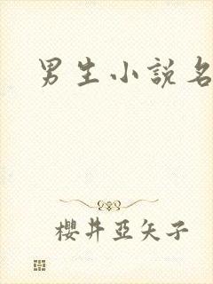 男生小说名字