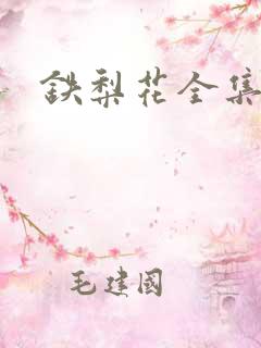 铁梨花全集下载