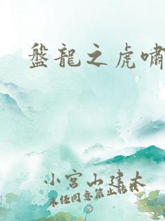 盘龙之虎啸