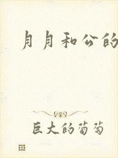月月和公的恋情