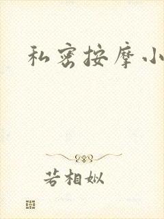 私密按摩小说