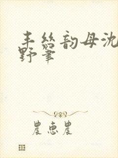 丰丝韵母沈蓉书野笔