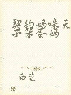 契约妈咪天才儿子笨蛋妈