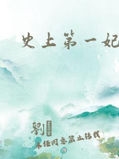 史上第一妃