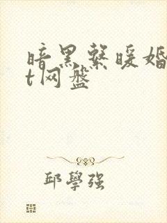 暗黑系暖婚txt网盘