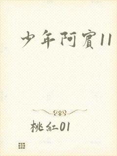 少年阿宾11