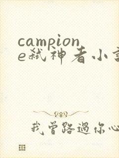 campione弑神者小说