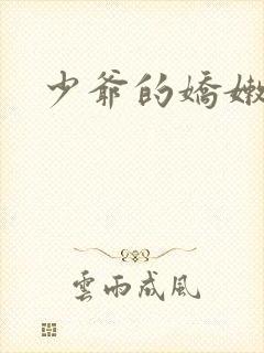 少爷的娇嫩女仆