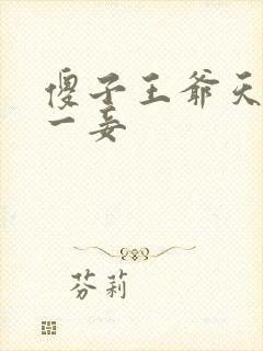 傻子王爷天下第一妾