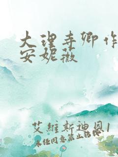 大理寺卿作者:安妮薇