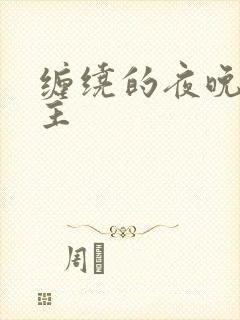 缠绕的夜晚双男主