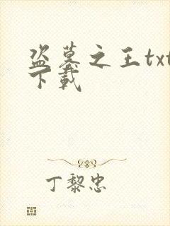 盗墓之王txt下载