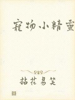 宠物小精灵之梦