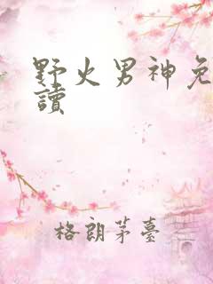 野火男神免费阅读