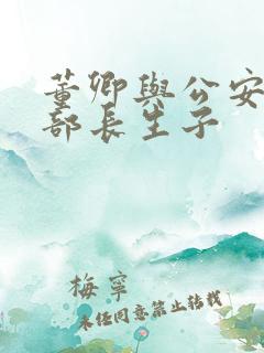 董卿与公安部副部长生子