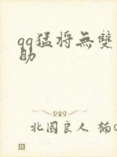 qq猛将无双辅助