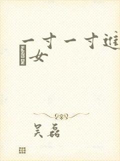 一寸一寸进入小姪女