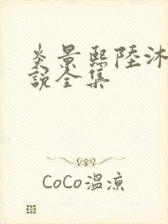 炎景熙陆沐擎小说全集