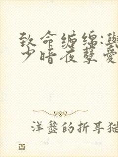 致命缠绵:与冷少暗夜孽爱