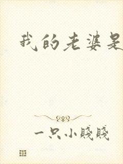 我的老婆是大神