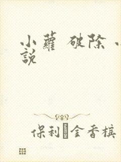 小萝 破除 小说