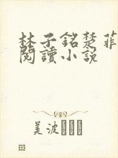 林子铭楚菲免费阅读小说