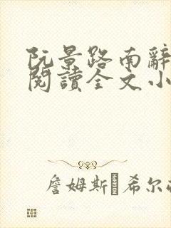 阮景路南辞免费阅读全文小说