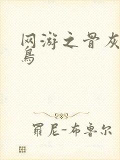 网游之骨灰级菜鸟