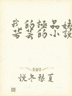 我的极品姨妈柳若芸的小说在线