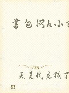 书包网h小说