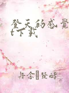 登天的感觉txt下载