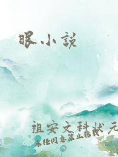 眼小说