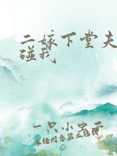 二嫁下堂夫君别碰我